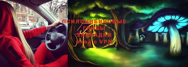 дживик Аркадак