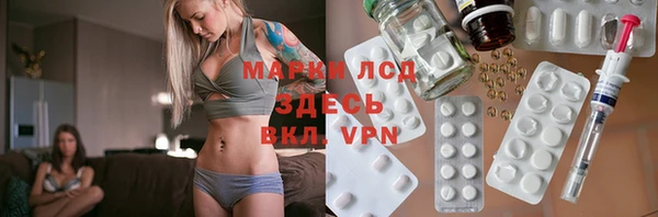 индика Алапаевск