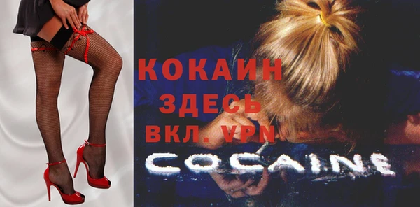 дживик Аркадак