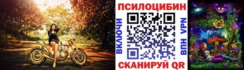 цены наркотик  Дедовск  Галлюциногенные грибы Magic Shrooms 